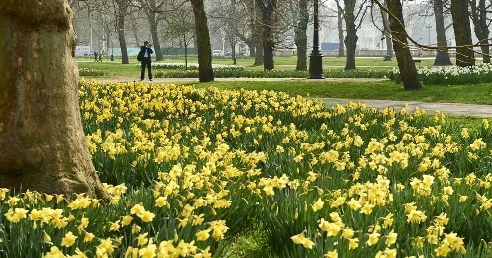 Green Park