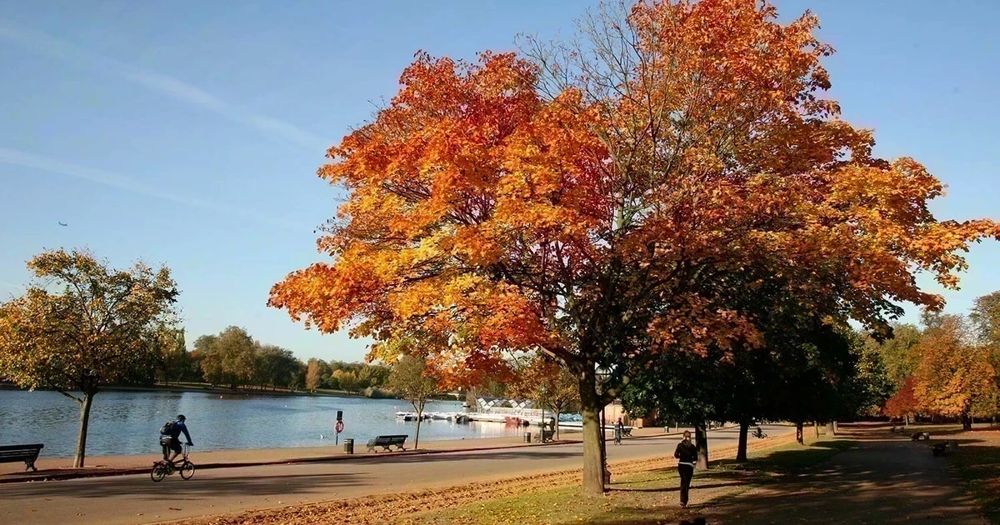 Hyde Park