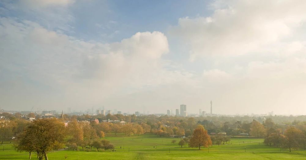 Primrose Hill